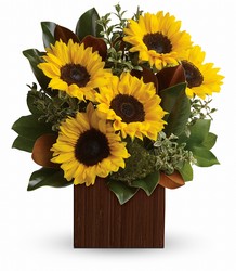 You're Golden Bouquet by Teleflora from Arjuna Florist in Brockport, NY